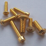 Gold Plated Screws